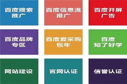 竞价推广策略：某电商平台的成功案例