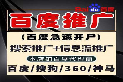 SEM托管服务实战案例：打造高效广告投放策略